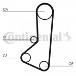 CONTINENTAL CTAM Zahnriemen