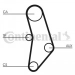 CONTINENTAL CTAM Zahnriemen