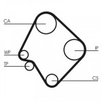 CONTINENTAL CTAM Zahnriemen