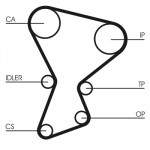 CONTINENTAL CTAM Zahnriemen