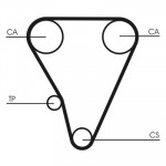 CONTINENTAL CTAM Zahnriemen