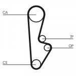 CONTINENTAL CTAM Zahnriemen