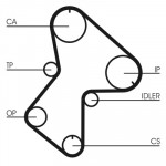 CONTINENTAL CTAM Zahnriemen