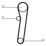 CONTINENTAL CTAM Zahnriemen