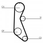 CONTINENTAL CTAM Zahnriemen
