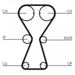 CONTINENTAL CTAM Zahnriemen