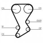 CONTINENTAL CTAM Zahnriemen