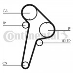 CONTINENTAL CTAM Zahnriemensatz