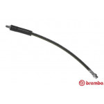 BREMBO Bremsschlauch