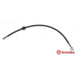 BREMBO Bremsschlauch