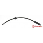 BREMBO Bremsschlauch