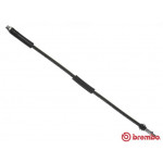 BREMBO Bremsschlauch