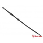 BREMBO Bremsschlauch