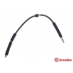 BREMBO Bremsschlauch