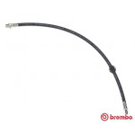 BREMBO Bremsschlauch