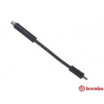 BREMBO Bremsschlauch