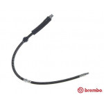 BREMBO Bremsschlauch