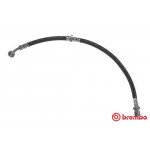 BREMBO Bremsschlauch