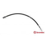 BREMBO Bremsschlauch