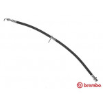 BREMBO Bremsschlauch