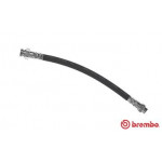 BREMBO Bremsschlauch