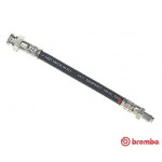 BREMBO Bremsschlauch