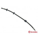 BREMBO Bremsschlauch