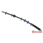 BREMBO Bremsschlauch