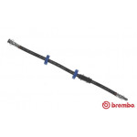 BREMBO Bremsschlauch