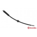 BREMBO Bremsschlauch