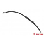 BREMBO Bremsschlauch
