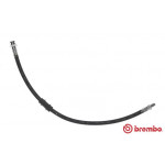 BREMBO Bremsschlauch