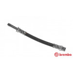 BREMBO Bremsschlauch