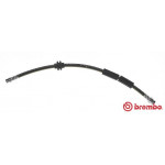BREMBO Bremsschlauch