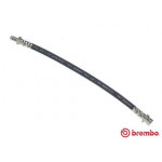 BREMBO Bremsschlauch