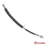 BREMBO Bremsschlauch