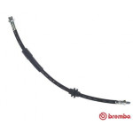 BREMBO Bremsschlauch