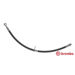BREMBO Bremsschlauch