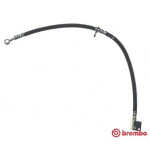 BREMBO Bremsschlauch