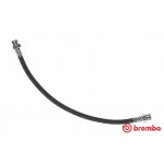 BREMBO Bremsschlauch