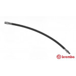 BREMBO Bremsschlauch