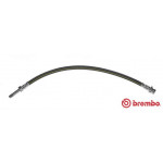 BREMBO Bremsschlauch