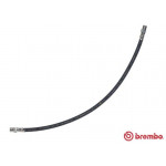 BREMBO Bremsschlauch