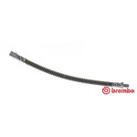 BREMBO Bremsschlauch