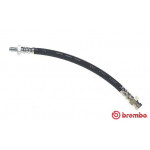 BREMBO Bremsschlauch
