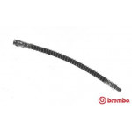 BREMBO Bremsschlauch