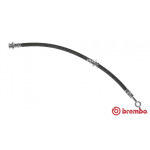 BREMBO Bremsschlauch