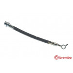 BREMBO Bremsschlauch