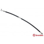 BREMBO Bremsschlauch
