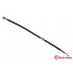 BREMBO Bremsschlauch